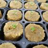 50PCS Hydroponic Substrate Rock Wool Plug Garden Sponge Nursery Block  Plant Propagation