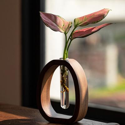Hydroponic Plants Test Tube Vase with Wooden Stand Clear Flower Vase Table