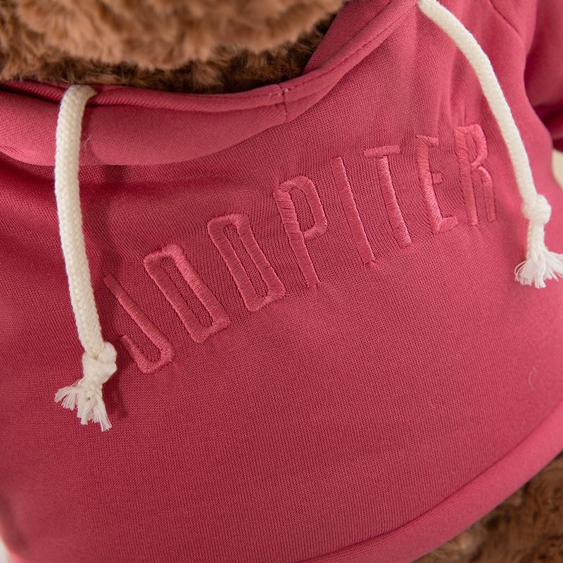 Wear Sweater Bear Plush Toy Bear Hug Bear Teddy Bear Doll Cute Doll Gift