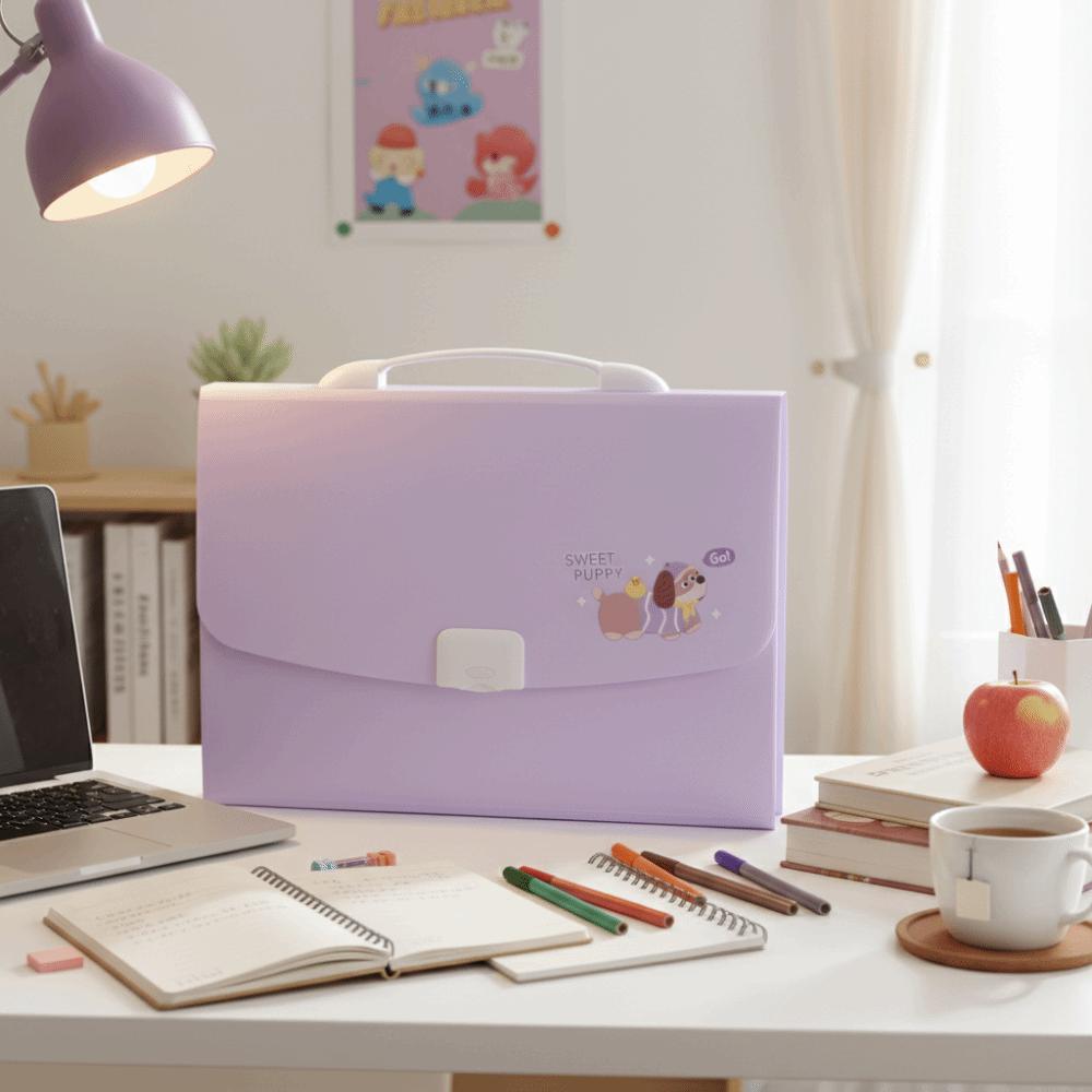 13 Pockets Expanding File Folder Large Capacity Portable Organ Bag  Office Organization