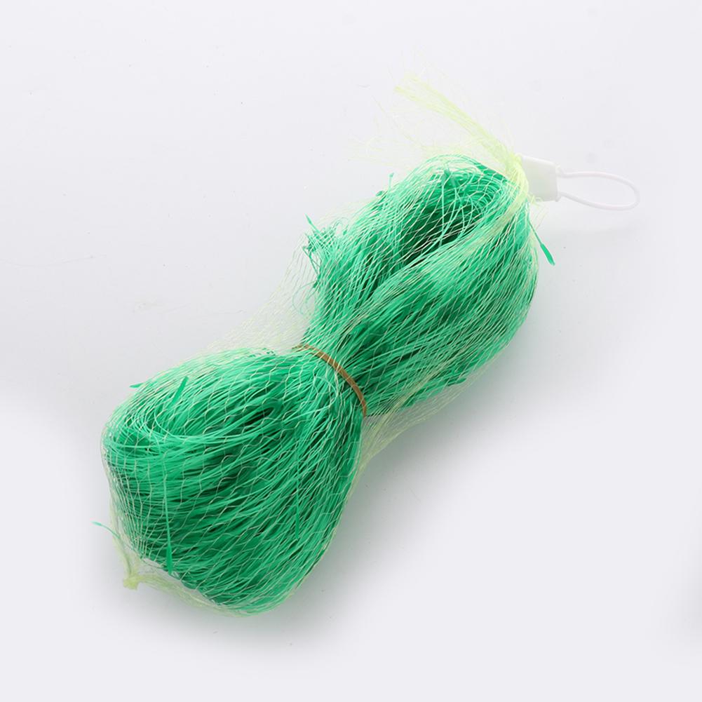 Trellis Net PP 15x15cm Plant Climbing Net for Walls Fences 1.7x6m