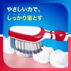 Sensodyne Gentle Gum Care Silky Bristle Sensitive Teeth Slim Compact Cannot Be Sensodyne Double Gum Care EX Sensitive Teeth Compact Cannot Be