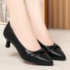 Pointed high heels women's new spring and autumn thick heel middle heel single shoes women's light mouth beige work shoes