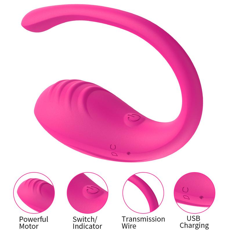 APP Controlled Vaginal Vibrators Clit Stimulator Massager  G Spot 9 Speed Anal Vibrating Egg Adult Sex Toys for Women Couples