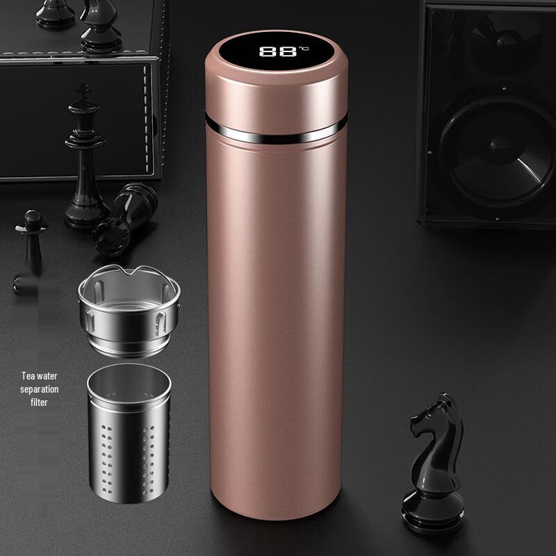 Smart 316SS Insulated Tea Infuser Bottle