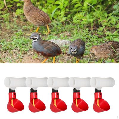 5 Pieces Automatic Chicken Cups Bowls Feeder Plastic Watering for Hen Poultry Supplies Chicks
