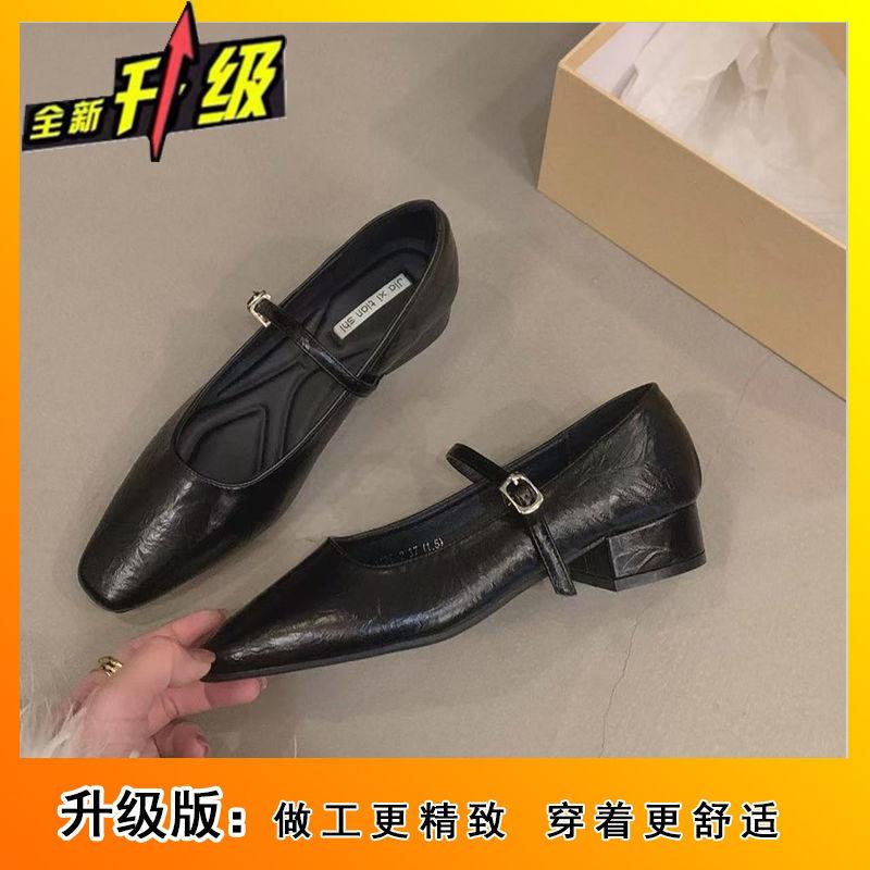 Fashion temperament with skirt single shoes women's shoes 2025 new spring and autumn heightened thick heel Mary Jane shoes small leather shoes