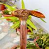 91.44 Cm Walking Stick with Rabbit Head Handle, Luxury Wooden Brass Stick Best Giftsfor Men, Women
