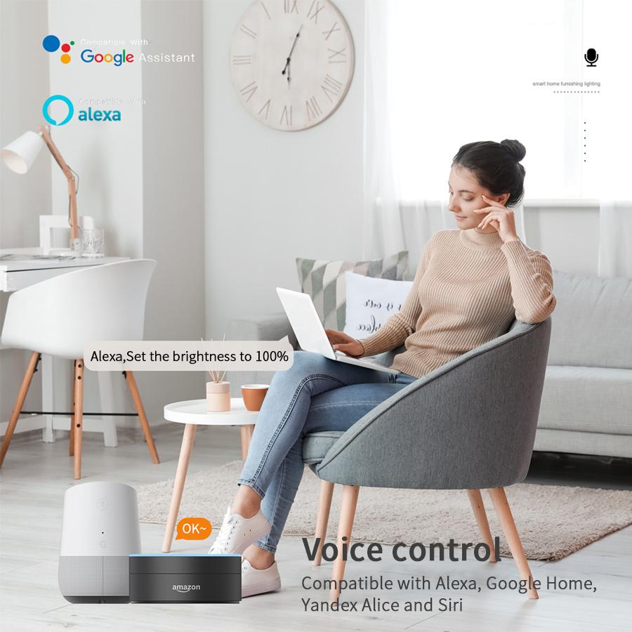 Wifi Bluetooth Led Downlight Smart Can Ceiling Light Works with Alexa Google Yandex Voice Dimmable 5W 75-105mm 2.5inch 100-240V