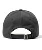 IDWS System Down Maxi Cap Charcoal