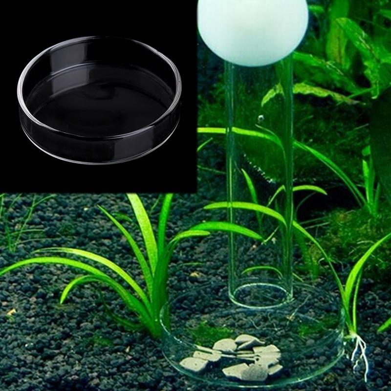 Acrylic Fish Feeder Dish 2.4 Inches Wide Transparent Round Bowl for Catfish Cory Pleco Bottom Feeding Aquatic Pet