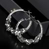 European and American Exaggerated Silver Needle Diamond Sequined Earrings Fashionable Spice Girls High-end Earrings Niche Cold Wind Earrings
