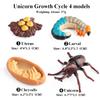 Oenux Simulation Luna Moth Salmon Butterfly Ants Life Growth Cycle Animals Model Action Figures Educational Miniature Kids Toy