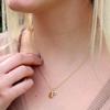Titanium Steel Zodiac Birthstone Pendant Necklace with Cubic Zirconia