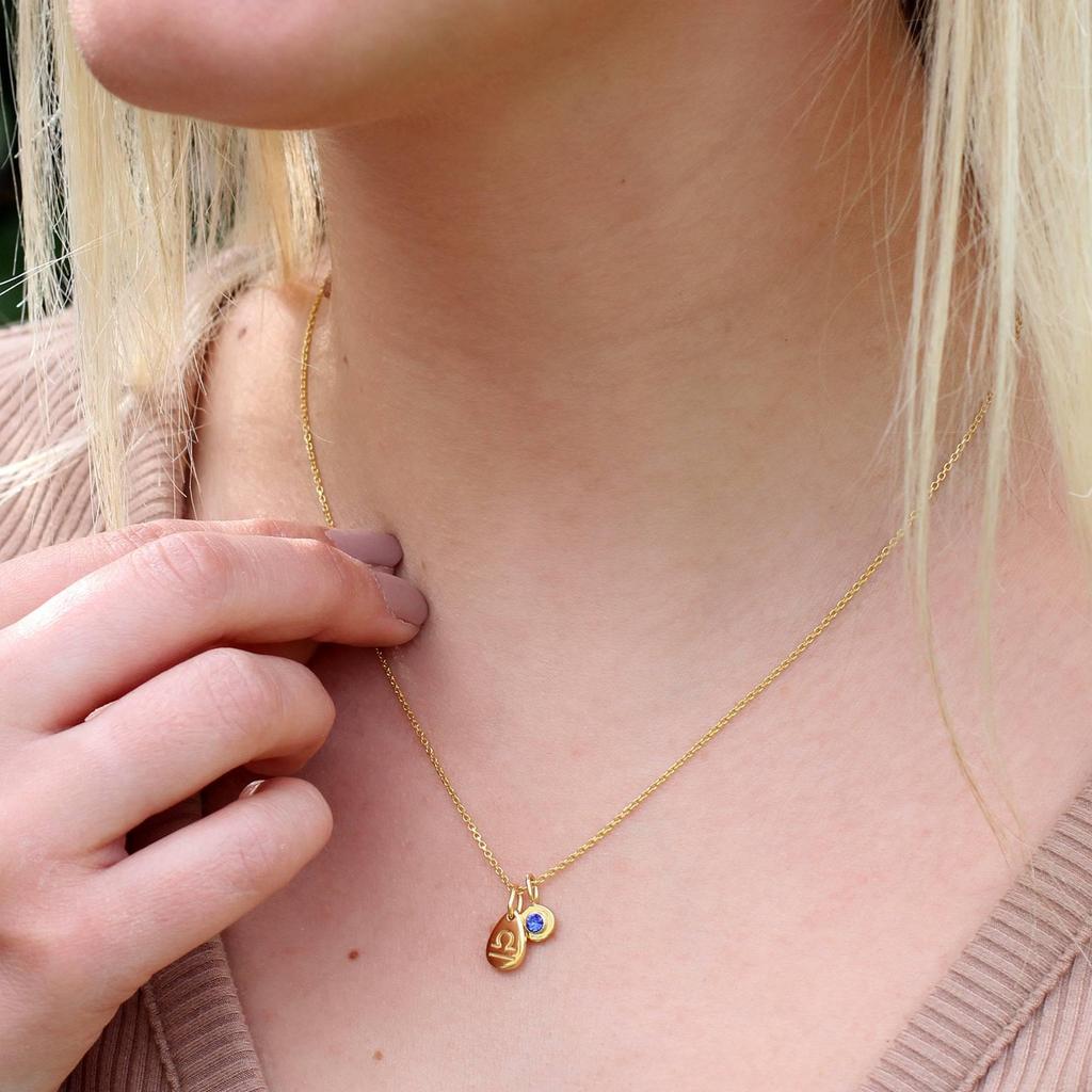 Titanium Steel Zodiac Birthstone Pendant Necklace with Cubic Zirconia