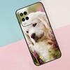 Golden Retriever Dog For Oppo A74 A94 A54 A80 A78 A98 A40 A60 A18 A38 A58 A15 A17 A77 A57S A16 A76 A96 Phone Case