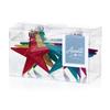 Premier Glitter Rainbow Stars Tree Decoration (Pack of 6)