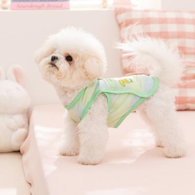 Summer Mesh Dog Vest Breathable Pet Vest Cute Dog Tee Shirt with Metal D-Ring for Small Dogs Outdoor Walks