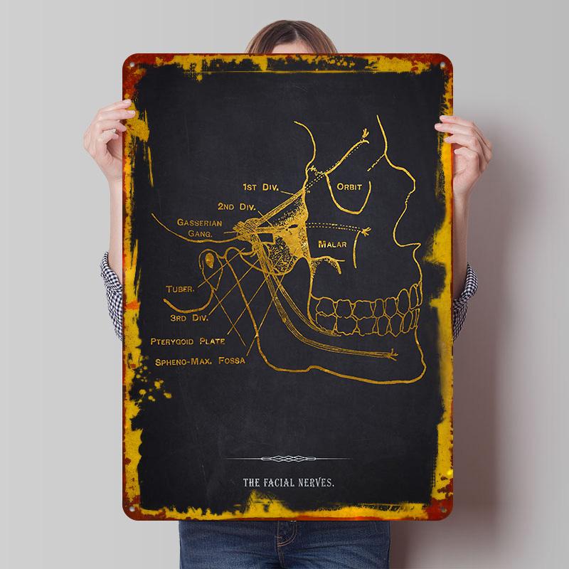 

Facial Nerves Anatomy Tin Plaque Poster Customized Wall Art Retro Vintage Metal Signs for Man Cave Gamer Decoration Room Decor 7.9x11.8In(20x30cm)