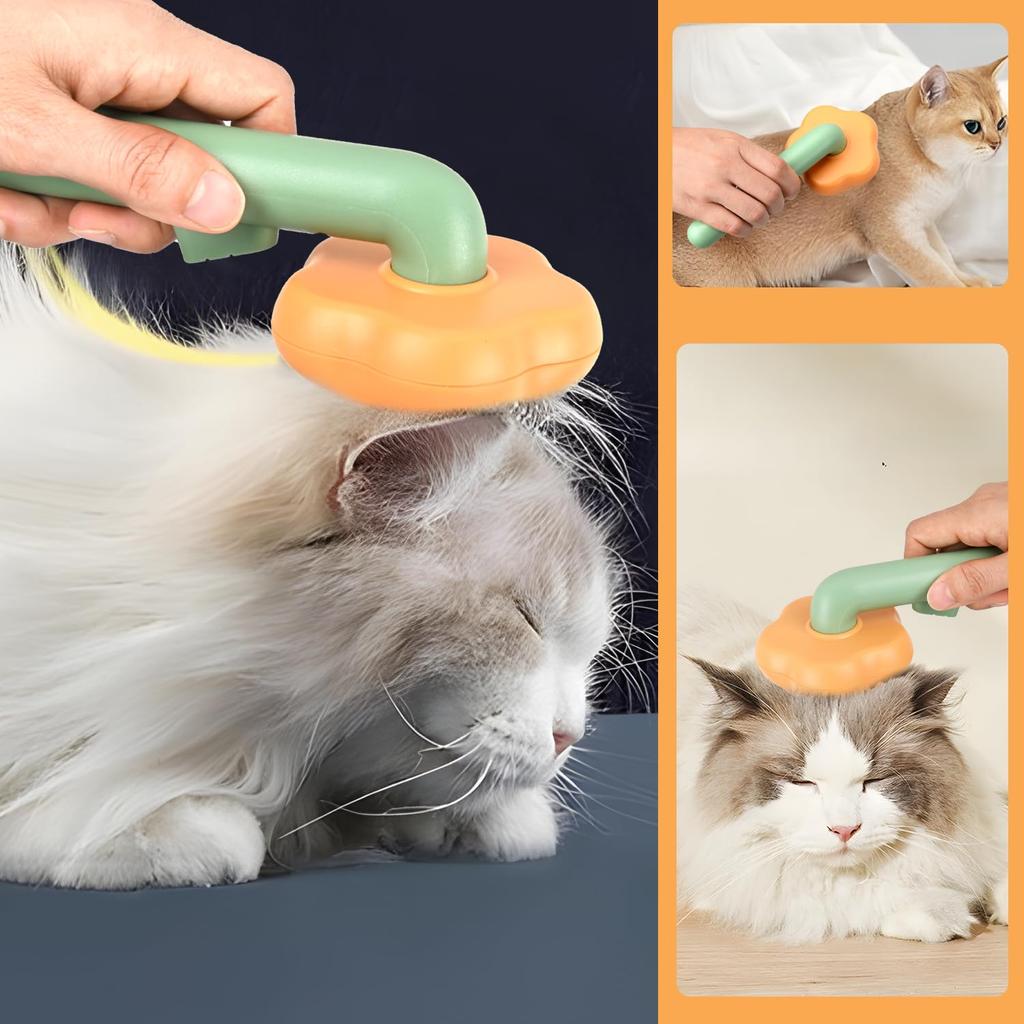 Chat chien poil court long chat poil d'animal poil petit moyen grand chien chat animal de compagnie brosse brosse, brosse, brosse, enlèvement, chien, chat, brossage, poil, poil, peigne,