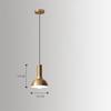 Nordic Minimalist Golden Pendant Lamp Restaurant Bar Creative Living Room Bedroom Bedside Light Led Personality Small Chandelier