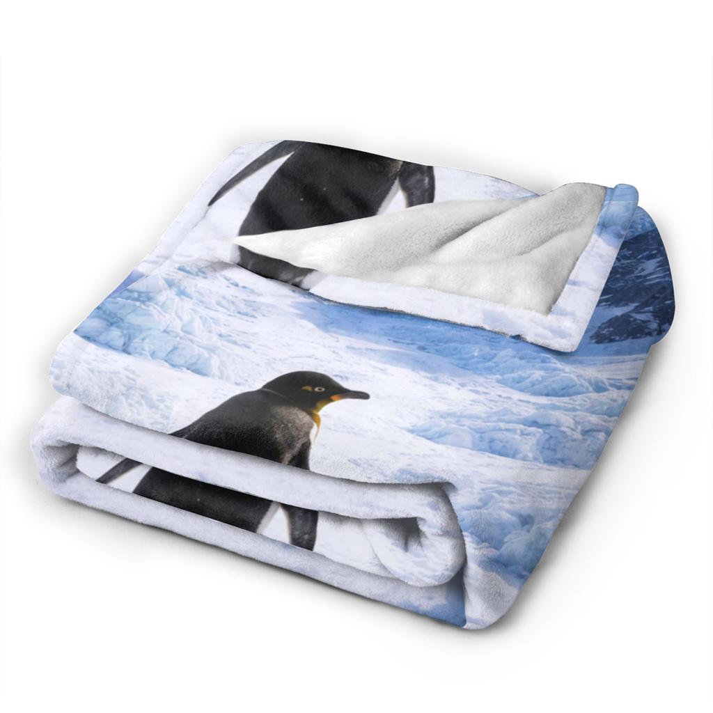 Nihilist Penguin But Why Flannel Blanket Creative Throw Blankets for Sofa Bedding Lounge 125*100cm Rug Piece,