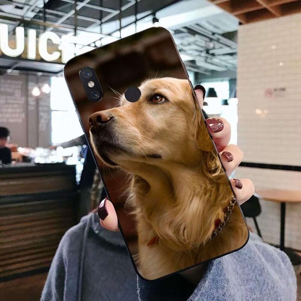 

Cute Labrador Dog Phone Case For Xiaomi Mi 5X 8 9 10 11 12 lite pro 10T PocoX3pro PocoM3 Note 10 pro lite Xiaomi Mi 12 5G