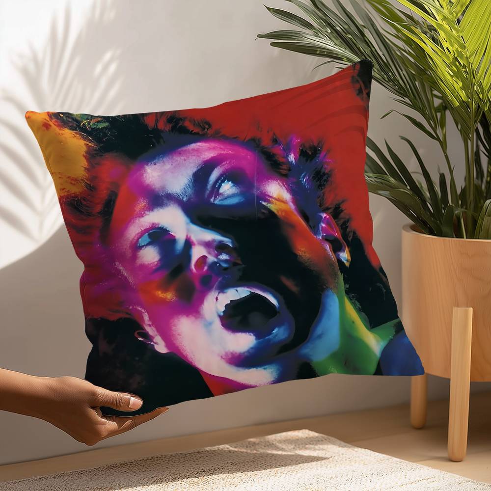 

Группа A-Алиса в Цепях Наволочка Квадратная Двусторонняя Печать Чехол для Подушки Для Дивана Домашний Декор Спальни Подарок 16x16Inch