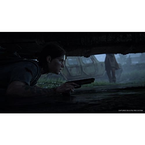 [PS4] The Last of Us Part II [CERO rating "Z"]