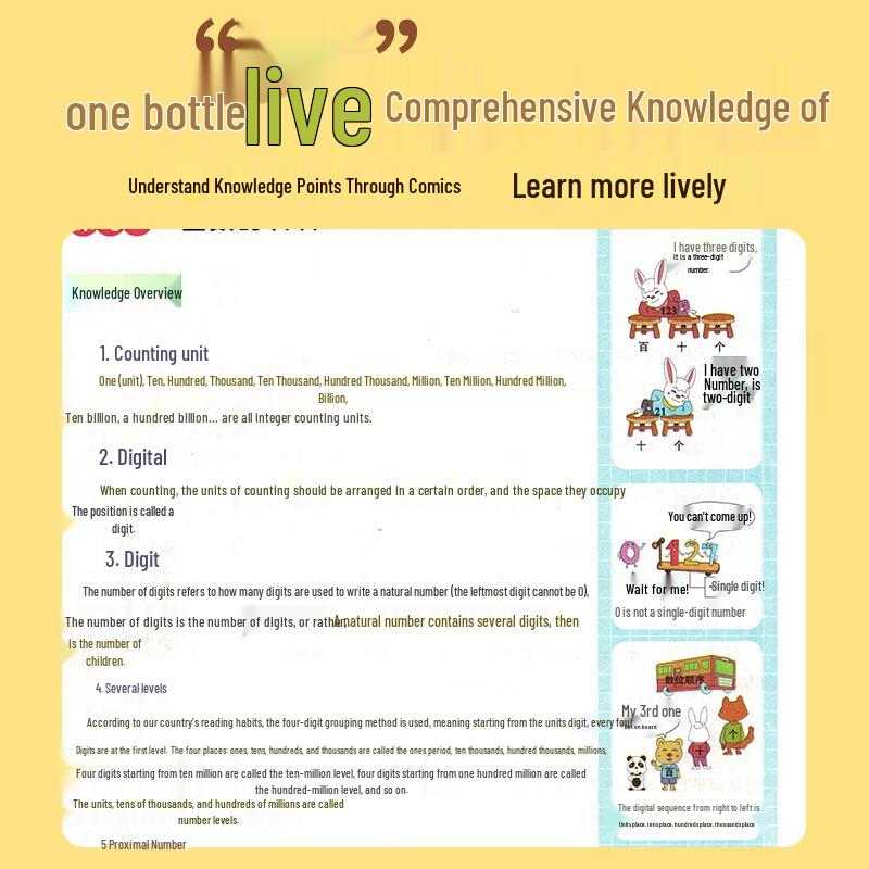 Primary School Mathematics Illustrated Guide
