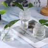 Transparent Glass Vase: Home Desktop Flower Arrangement Decor