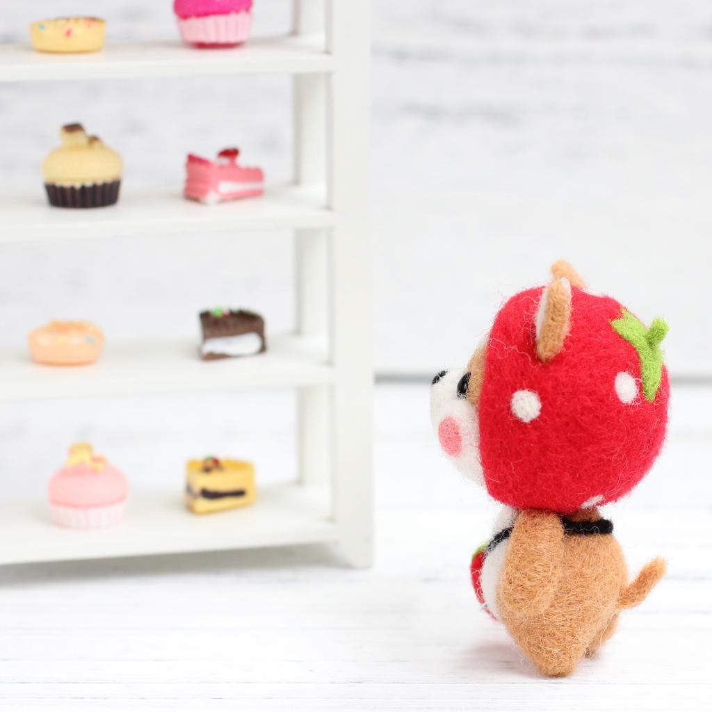 Felting Kit DIY For Beginners With