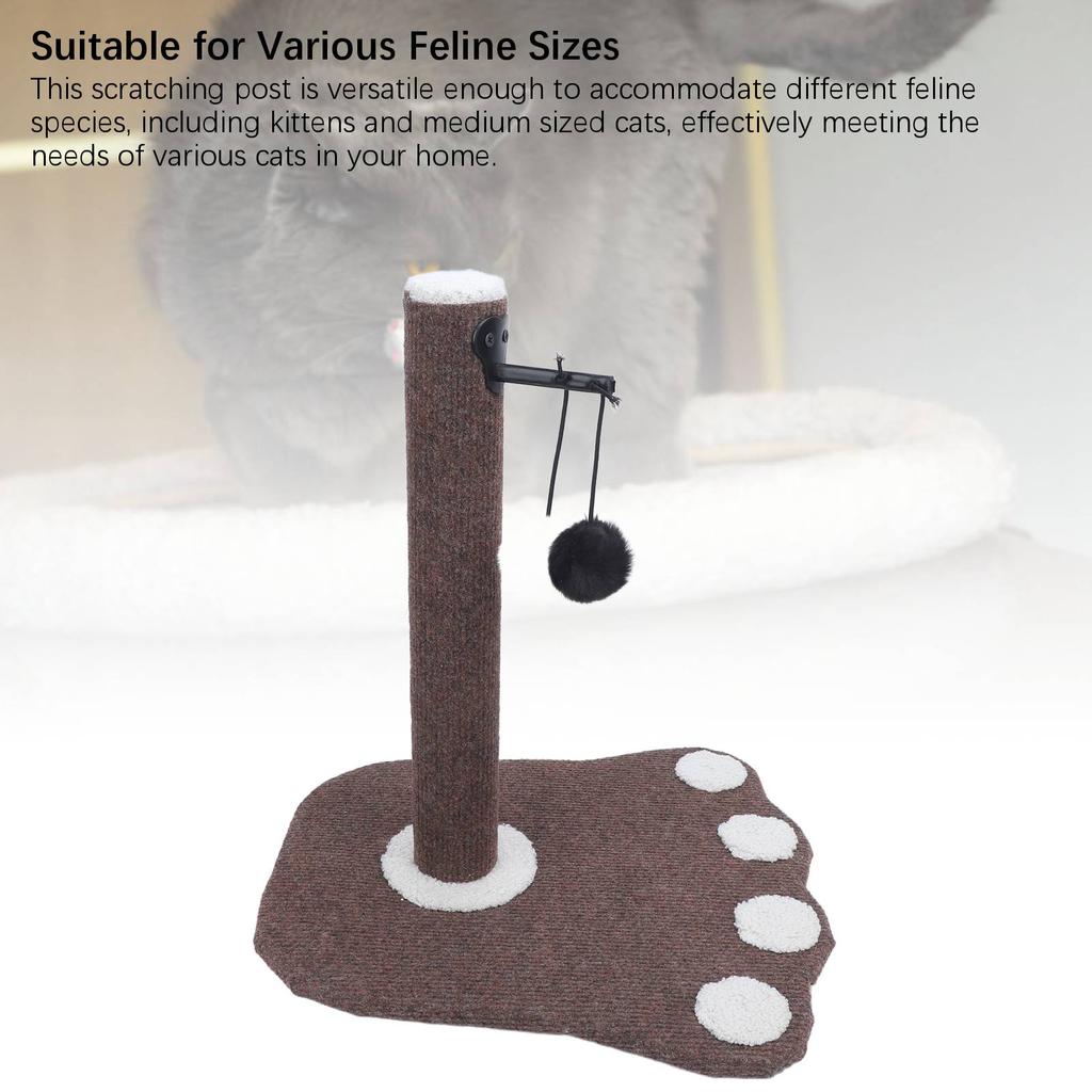 Cat Scratching Post Board Kitten Scratcher Sisal Scratch Posts with Hanging Ball for Indoor Mid Cats Kittens