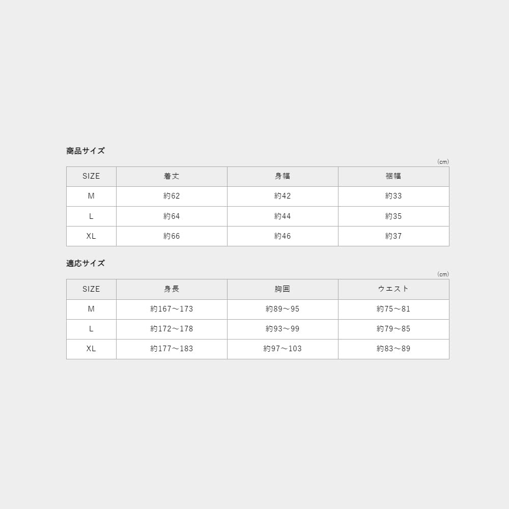 Fitness Long Sleeve Compression Colantotte Sportswear LL Black [Colantotte] Innerwear, Tops, Long, Men's, Men's (O),