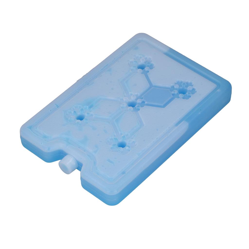 Outdoor Portable Freezer Picnic Camping Travel Fruit Cooler Box Reusable Ice Pack 600ML