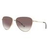Brown Pink Gradient Cat Eye Ladies Sunglasses Ck19103sg 717 58