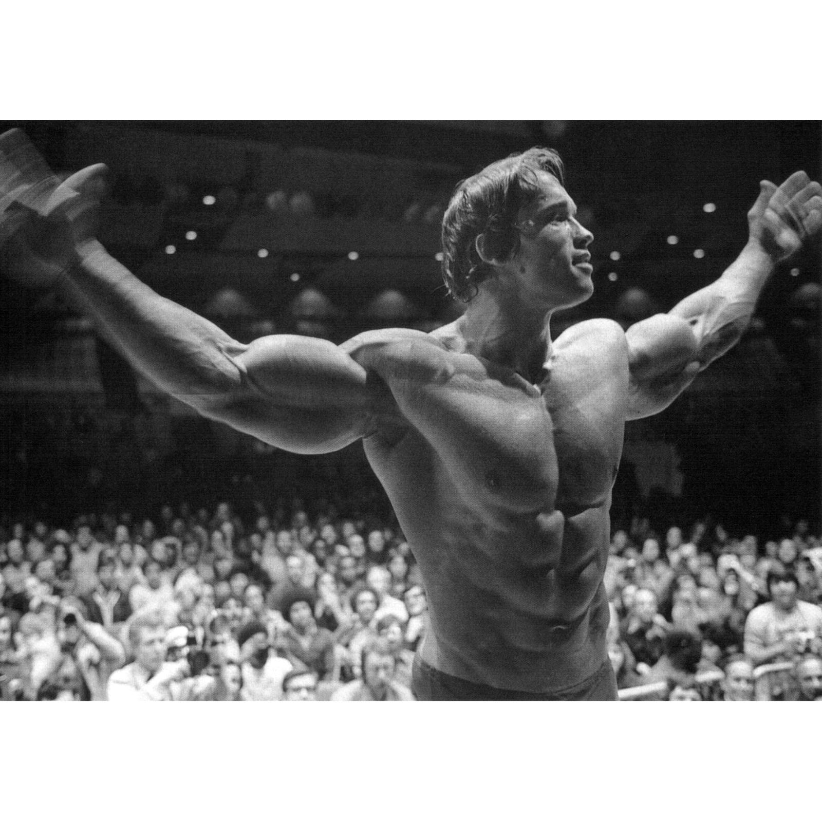 Tapestry Large bodybuilding poster with Arnold Schwarzenegger 75x100 чёрный