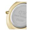 DÁMSKÉ HODINKY DANIEL WELLINGTON DW00100349 - PETITE EVERGOLD 28mm (zw501c)