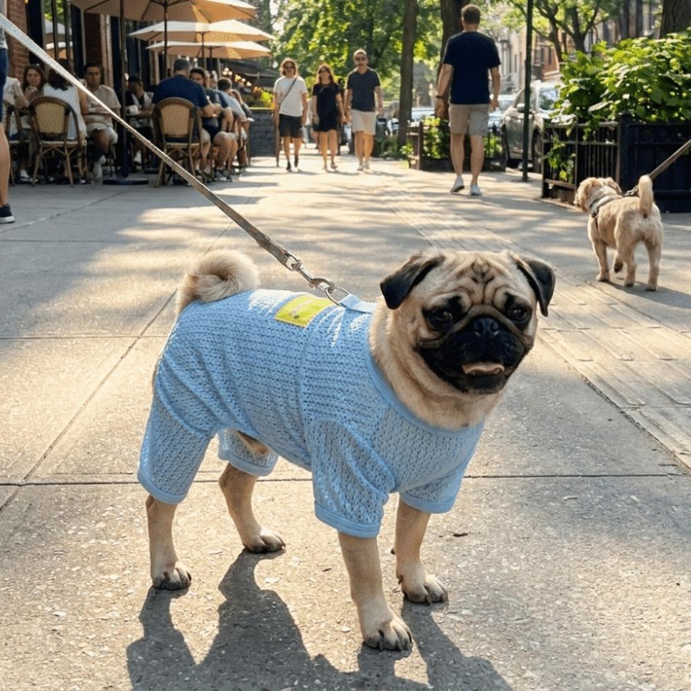 Breathable Mesh Dog Sun Protection Clothes Quick Drying with Traction Dog Cooling Jumpsuit Thin Four Legged Clothes Indoor