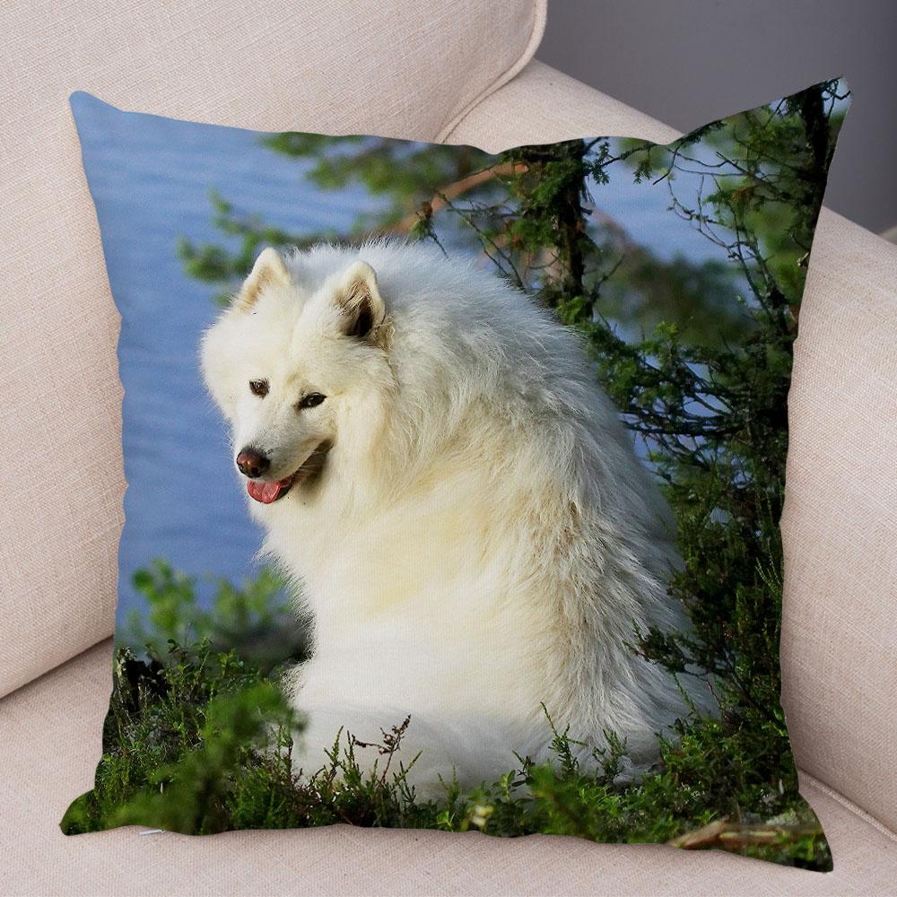50 Stil Husă de Pernă Câine Alb Drăguț Samoyed Decor Husă de Pernă Animal de Companie Iubitor Husă de Pernă Moale de Pluș pentru Canapé Cameră Copii