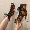 Fashion Female Shoes Leopard Print 2025 Peep Toe Women's Sandals Mesh Ankle Boots High Heel Fishnet Boot Ladies Lace Latin Dance Shoes