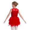 Robe de spectacle de danse pour filles Sans manches Fermeture éclair invisible au dos Patchwork en maille transparente Sequins brillants Plume Velours Robe