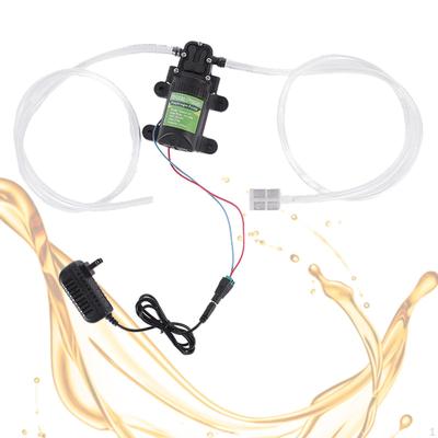 Pompe Auto-Amorçante à Eau CC 12V Bateau Pression pour Arrosage des Fleurs