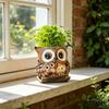 Decorațiuni pentru casă – Ghivece de flori decorative