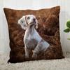 Spaniel Animal Pillowcase  Modern Home Living Room Decoration