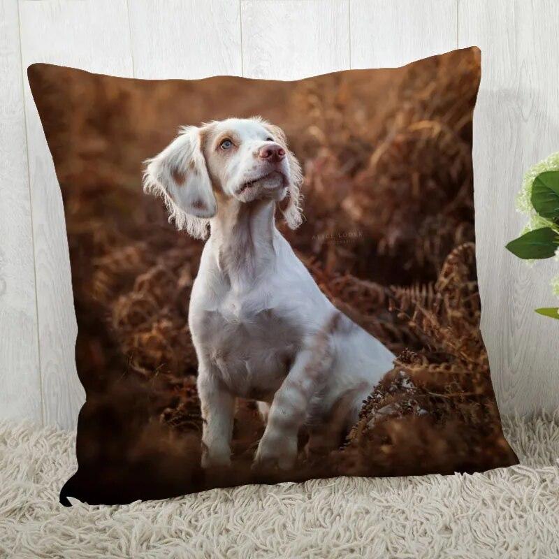 Spaniel Animal Pillowcase Modern Home Living Room Decoration