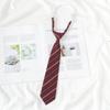 Red Stripe No-Tie Bachelor Gown & Hand-Tied Graduation Tie - Women's Academy JK Style