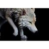 BACALYSO 1/6 Coyote Wolf Figure 20cm PVC Realistic Animal Model Painted Finished Product 126C