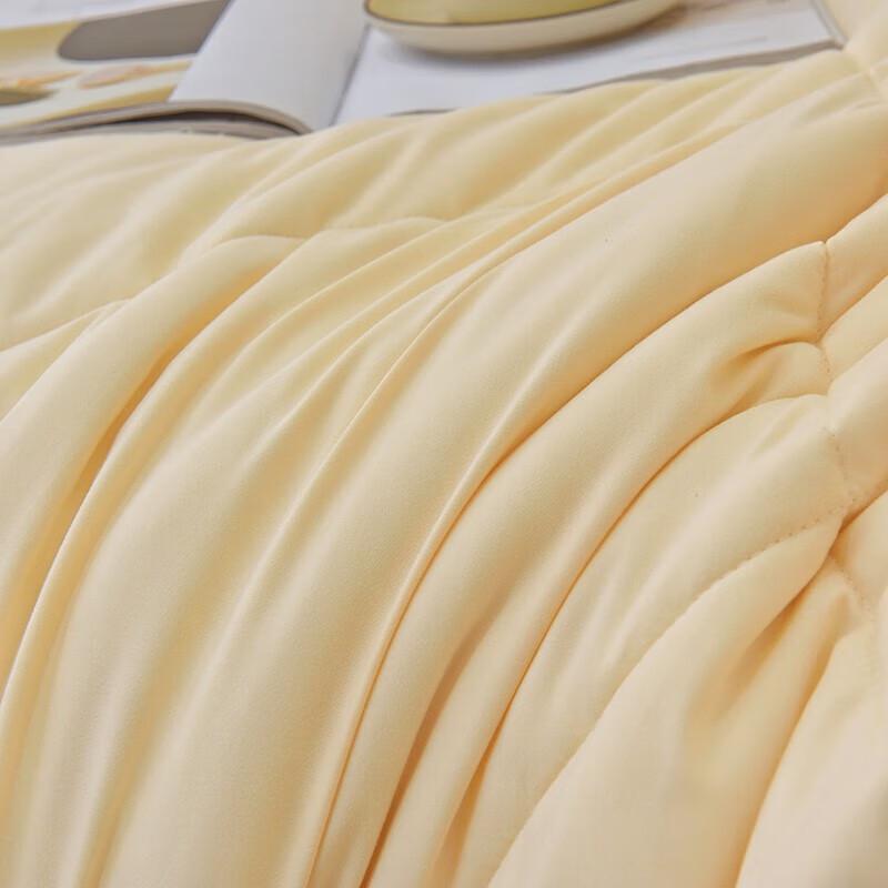 Lan Ruo Ting Soybean Fiber Duvet Insert