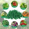 Wholesale Green Plant Support Clips Garden Vine Strapping Fixing Clip for Climbing Tomato Grape Vegetables Stalk Holders Buckle